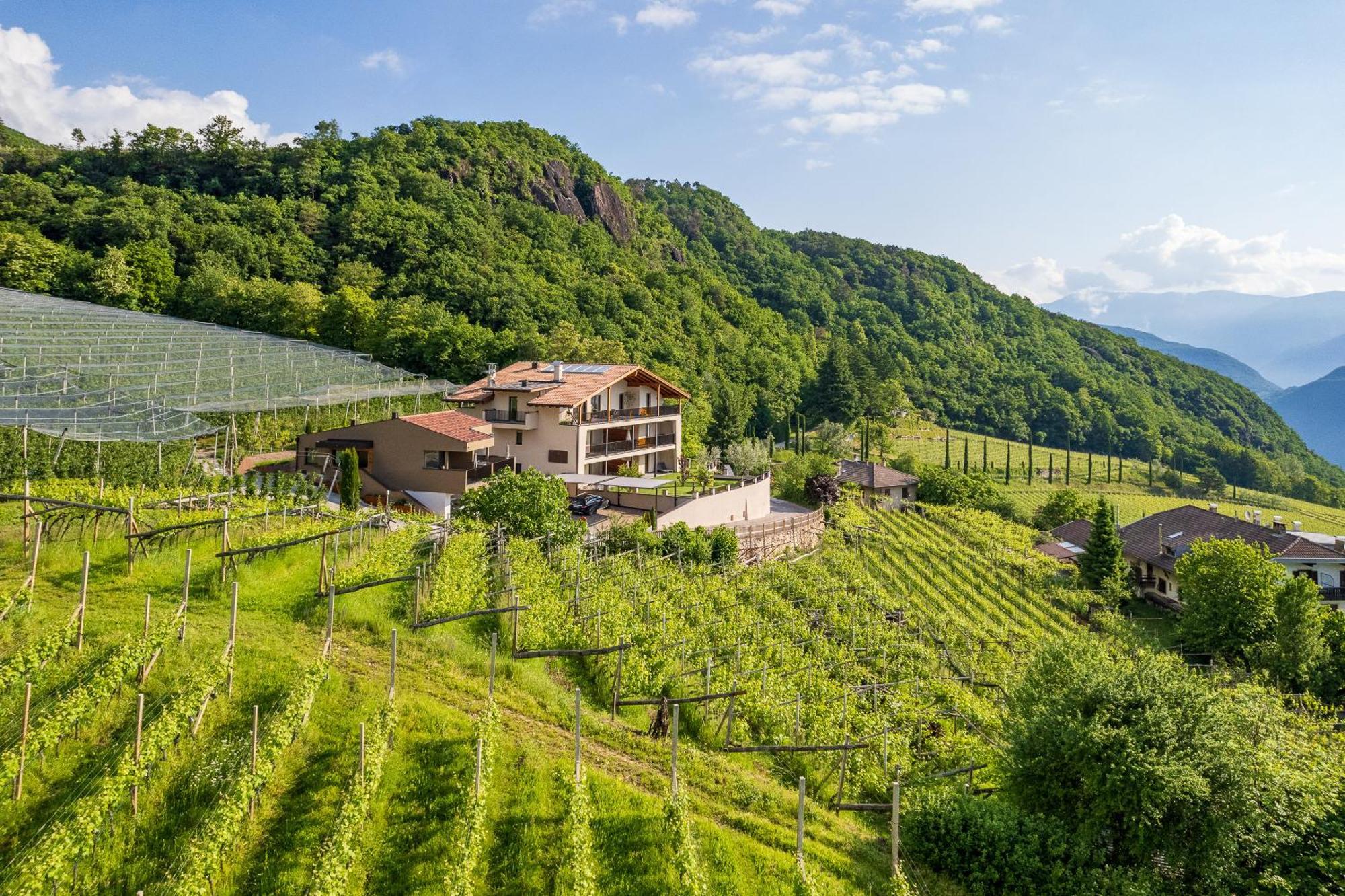 Apfelhof Lägenhet Tramin an der Weinstraße Exteriör bild