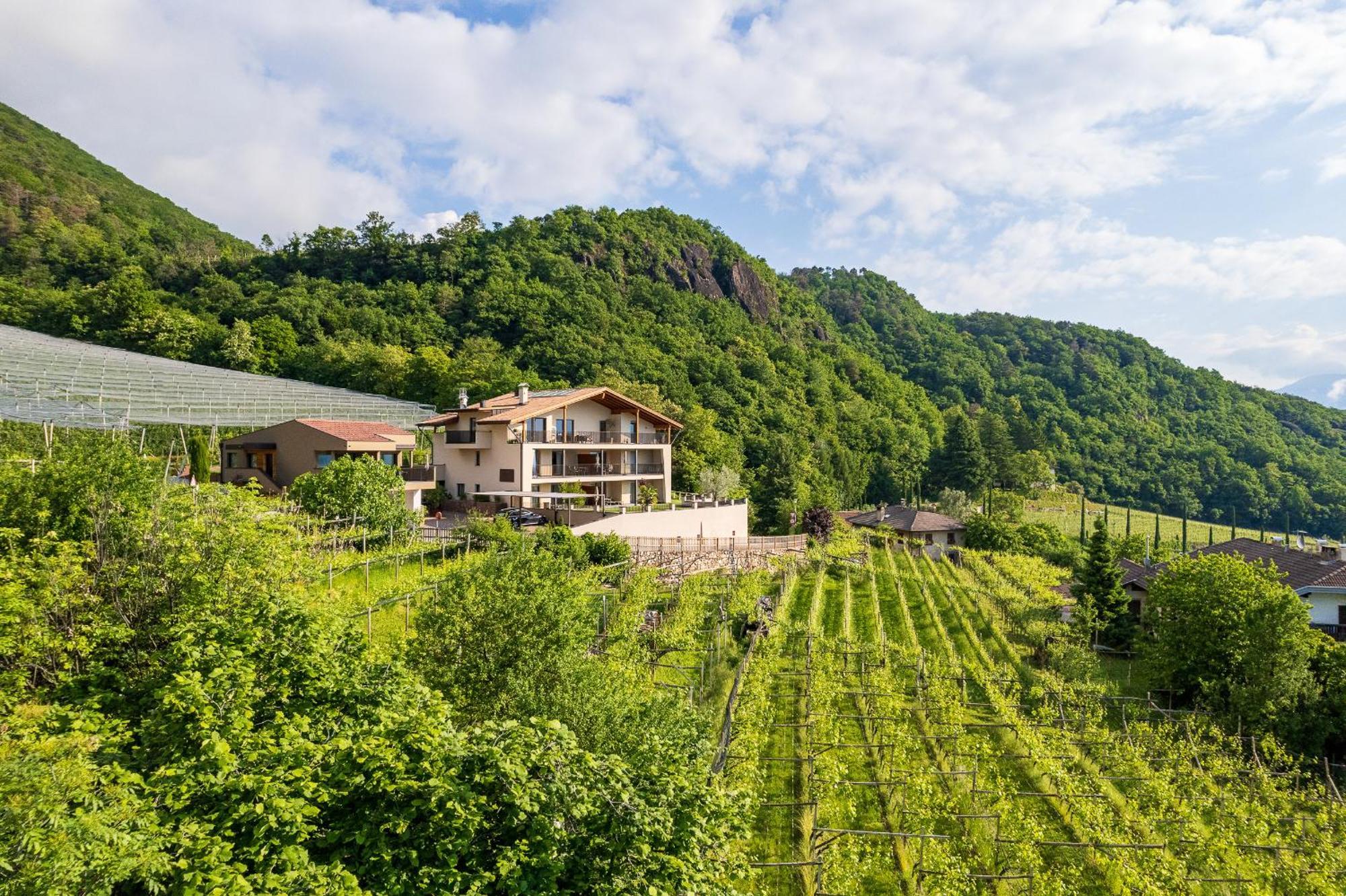 Apfelhof Lägenhet Tramin an der Weinstraße Exteriör bild