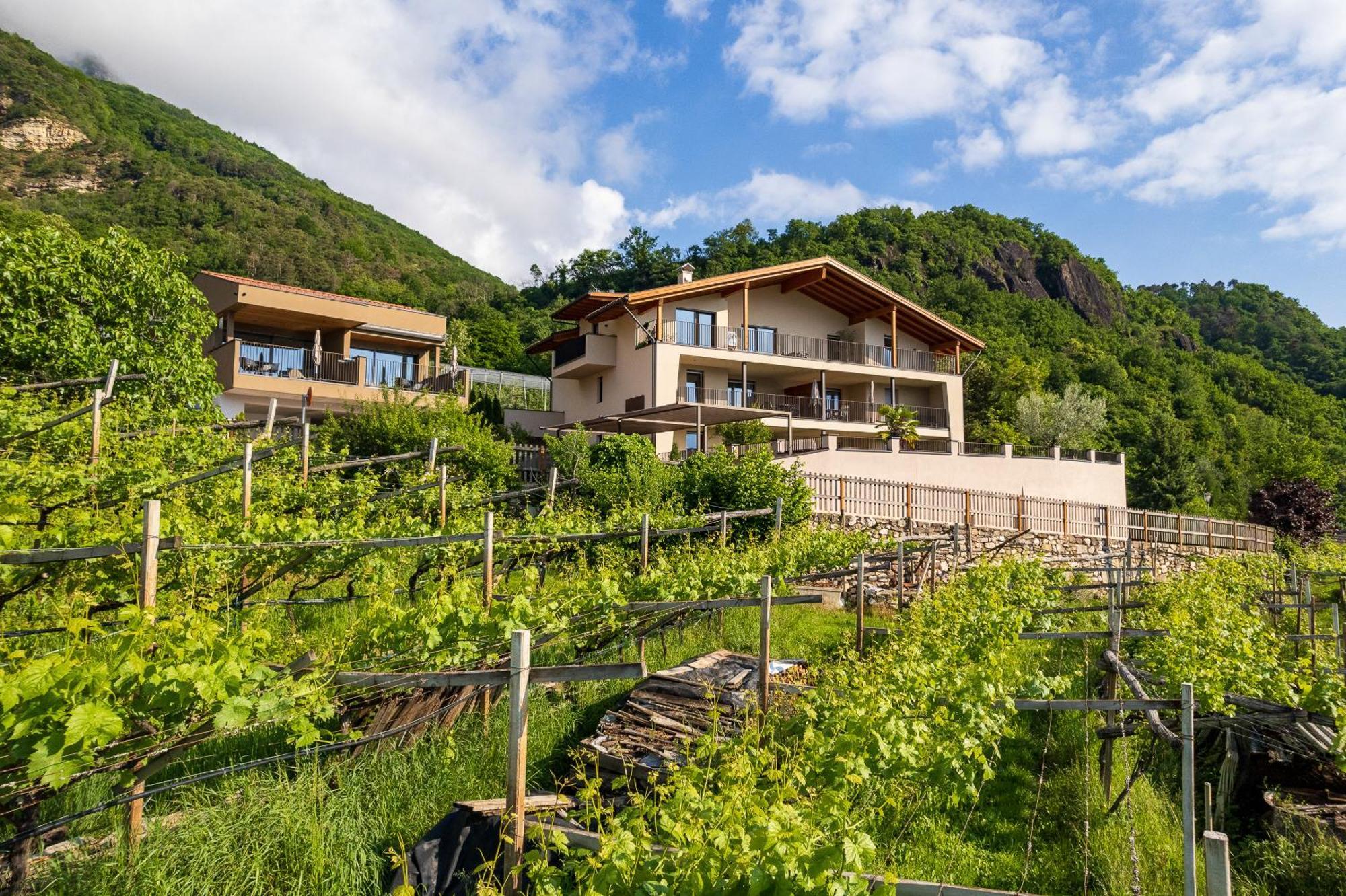 Apfelhof Lägenhet Tramin an der Weinstraße Exteriör bild